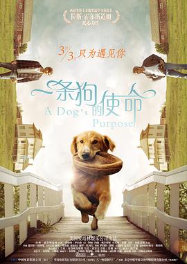 成人精品第一区二区三区
